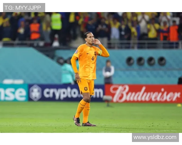 荷兰现役足球明星盘点与他们的辉煌成就分析