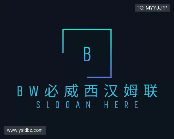 解读bw必威西汉姆联